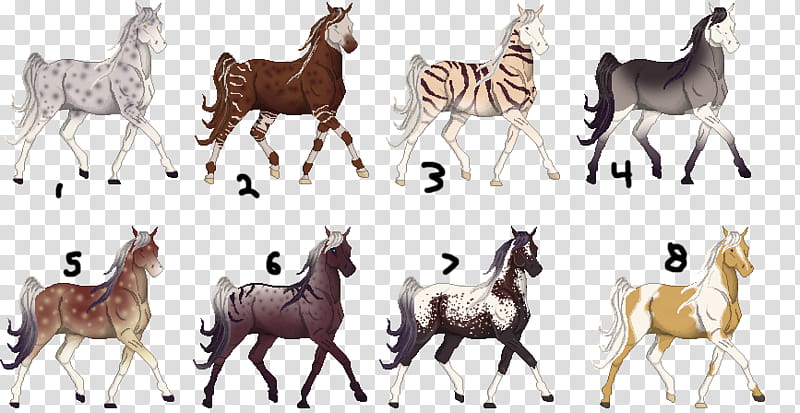 Quick natural adopts! Just points [OPEN /] transparent background PNG clipart