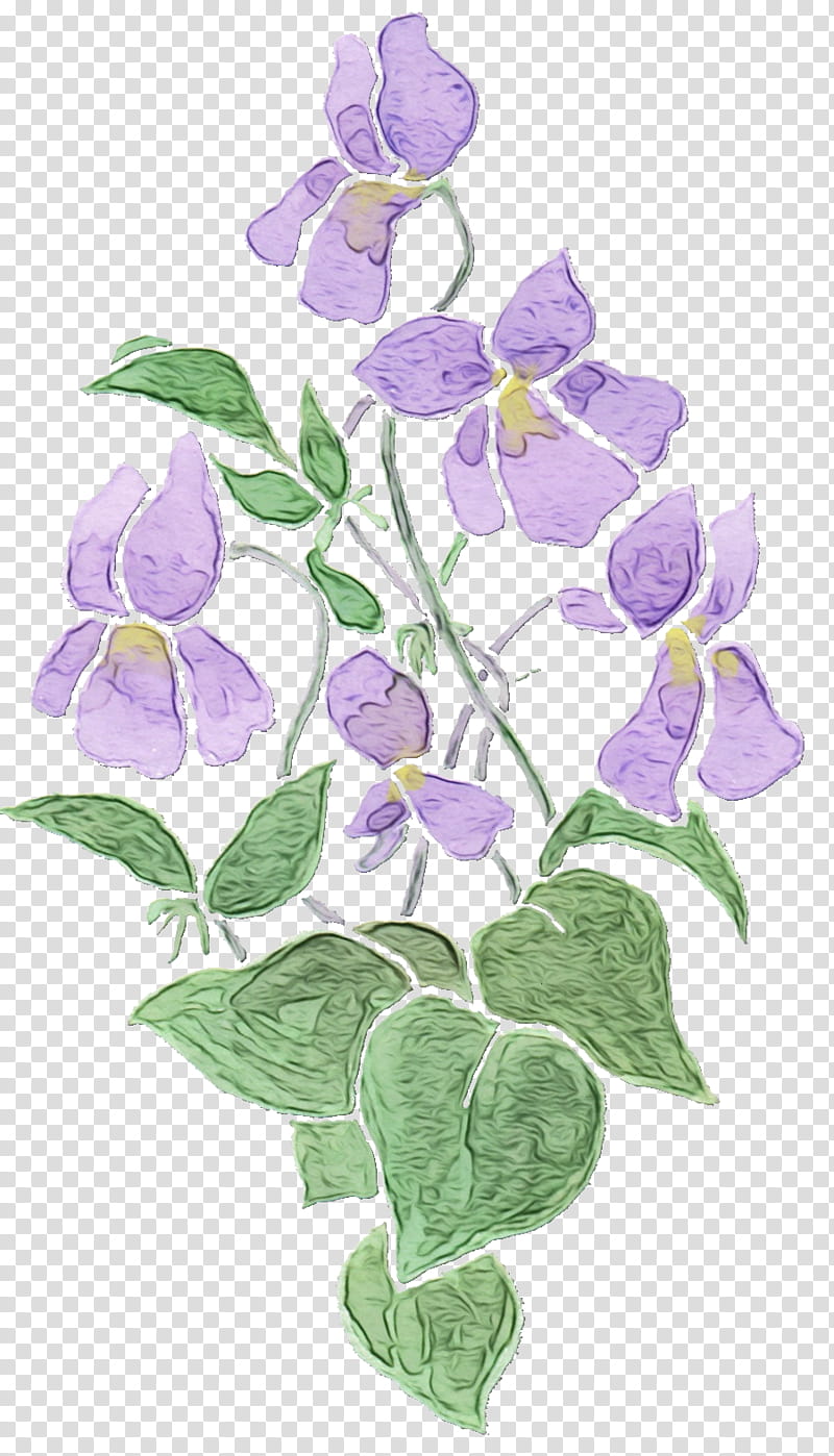 flower violet purple plant flowering plant, Watercolor, Paint, Wet Ink, Leaf, Petal, Periwinkle transparent background PNG clipart