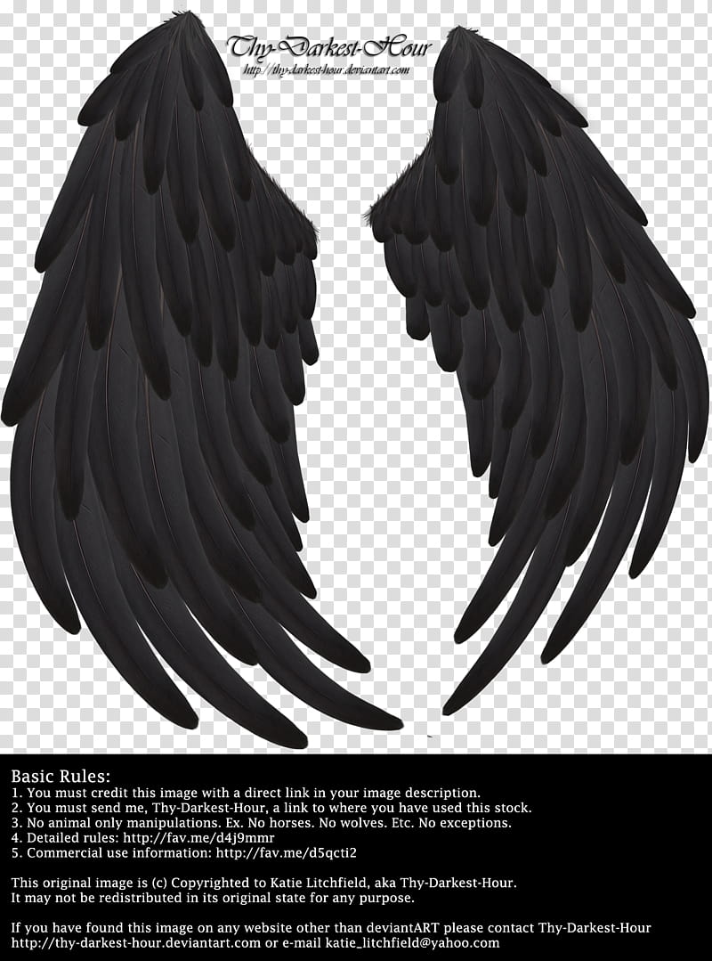 Solace Wings Black transparent background PNG clipart