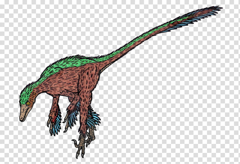 Velociraptor, Troodon, Utahraptor, Dinosaur, Pyroraptor, Microraptor, Sinovenator, Maastrichtian transparent background PNG clipart