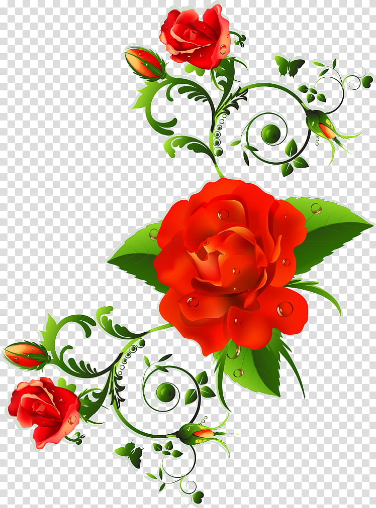 floral flowers, Plant, Red, Rose, Cut Flowers, Petal, Rose Family, Garden Roses transparent background PNG clipart