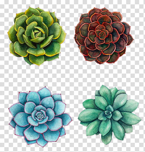 Flower Art Watercolor, Watercolor Painting, Succulent Plant, Drawing, Art Museum, Canvas, Printmaking, Cactus transparent background PNG clipart