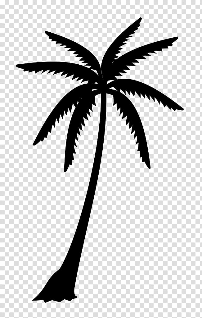 Family Tree Silhouette, Palm Trees, Black White M, Leaf, Plant Stem, Line, Plants, Blackandwhite transparent background PNG clipart