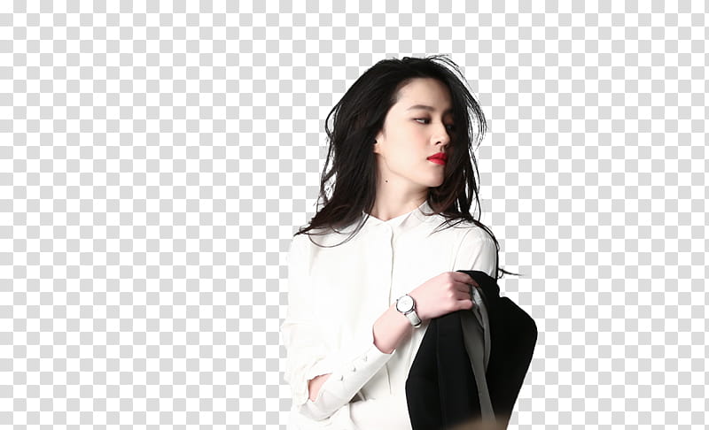 Liu Yi Fei transparent background PNG clipart