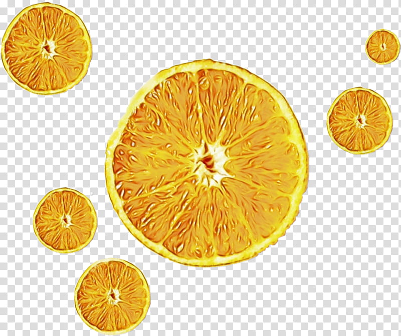 Lemon, Blood Orange, Mandarin Orange, Tangerine, Rangpur, Clementine, Bitter Orange, Citron transparent background PNG clipart