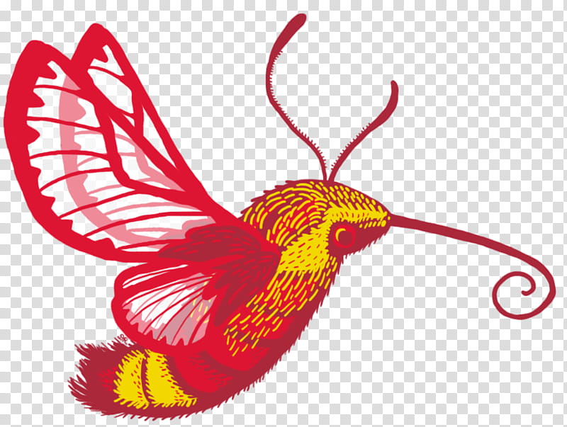 Hummingbird Drawing, Insect, Hummingbird Hawkmoth, Hawk Moths, Butterfly, Cartoon, Borboleta, Archilochus transparent background PNG clipart