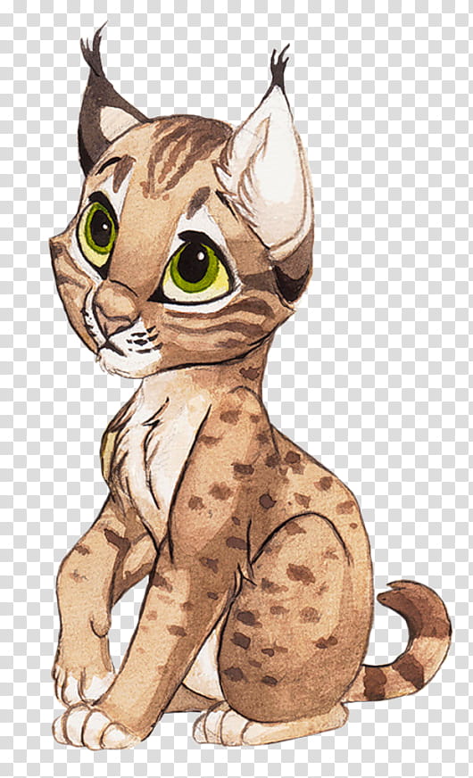 Kitten, Eurasian Lynx, Cat, Wildcat, Bobcat, Drawing, Canada Lynx, Line Art transparent background PNG clipart