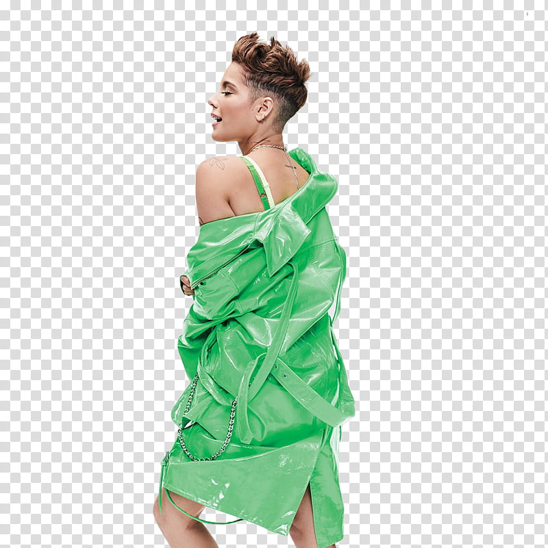 Halsey transparent background PNG clipart