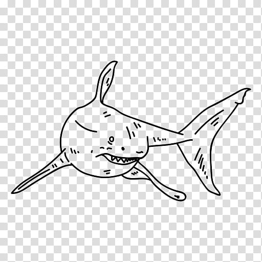 Great White Shark, Drawing, Painting, Line Art, Cartoon, Fish, Lamniformes, Coloring Book transparent background PNG clipart