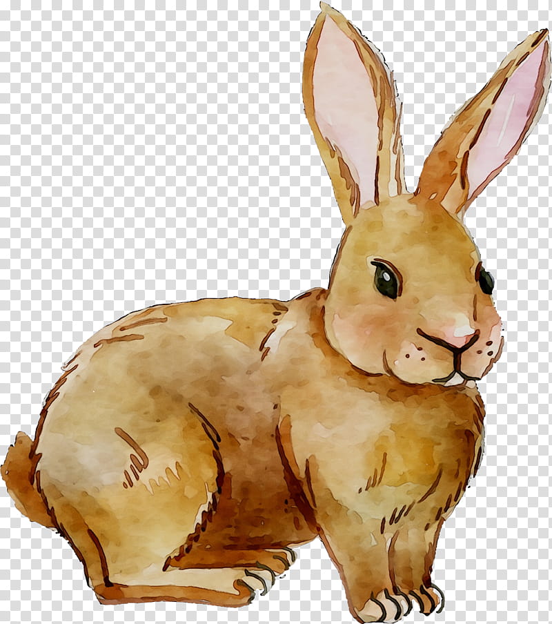 Easter Bunny, Hare, Rabbit, Easter
, Snout, Rabbits And Hares, Animal Figure, Wood Rabbit transparent background PNG clipart