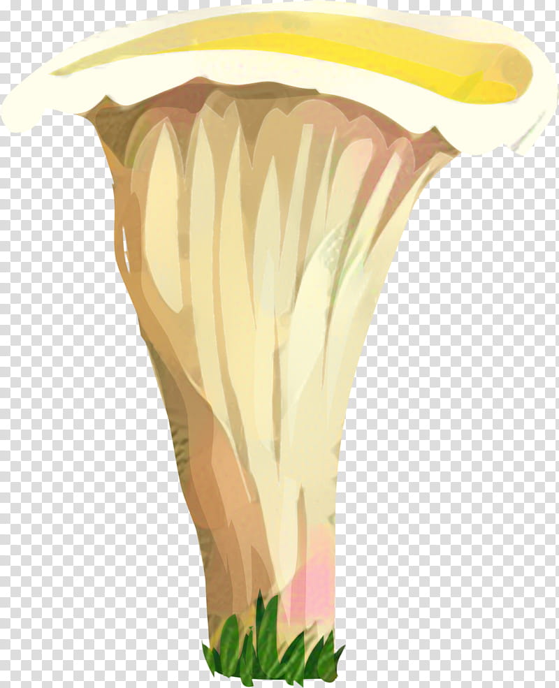 Vase Plant, Nepenthes transparent background PNG clipart