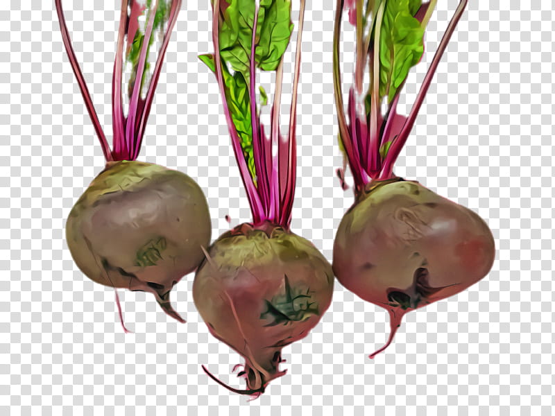 radish beetroot beet vegetable beet greens, Turnip, Root Vegetable, Plant, Flower, Lepidium Meyenii transparent background PNG clipart