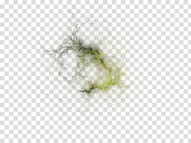 Vines, green crack transparent background PNG clipart