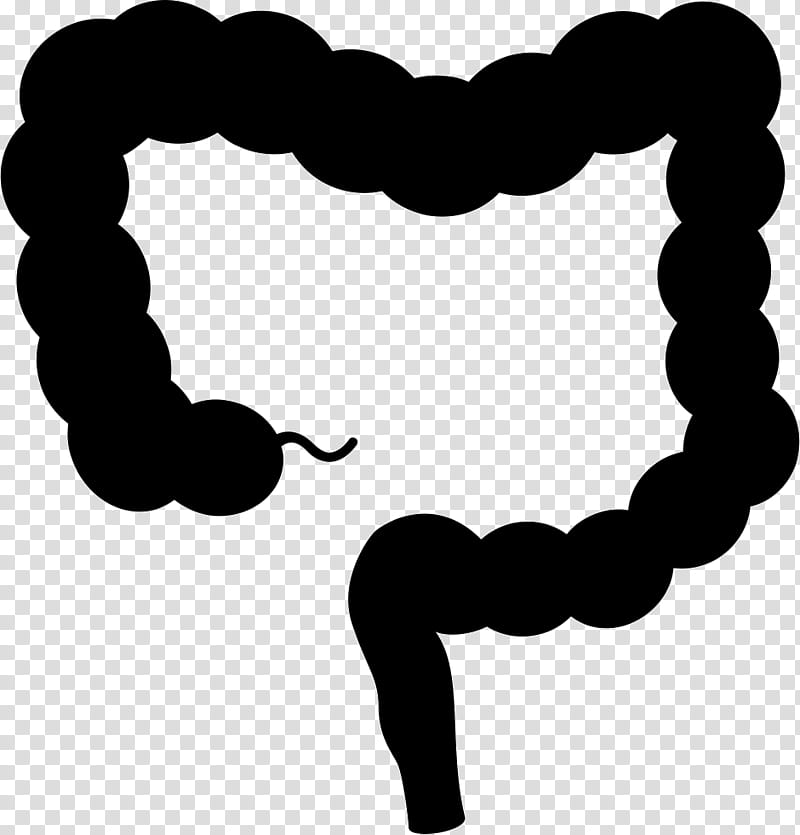 Medicine, Intestine, Large Intestine, Colorectal Cancer, Small Intestine, Bowel Obstruction, Gastrointestinal Tract, Health transparent background PNG clipart