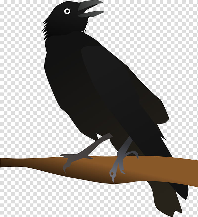 Bird Line Art, New Caledonian Crow, American Crow, Common Raven, Windows Metafile, Beak, Crow Like Bird, Wing transparent background PNG clipart