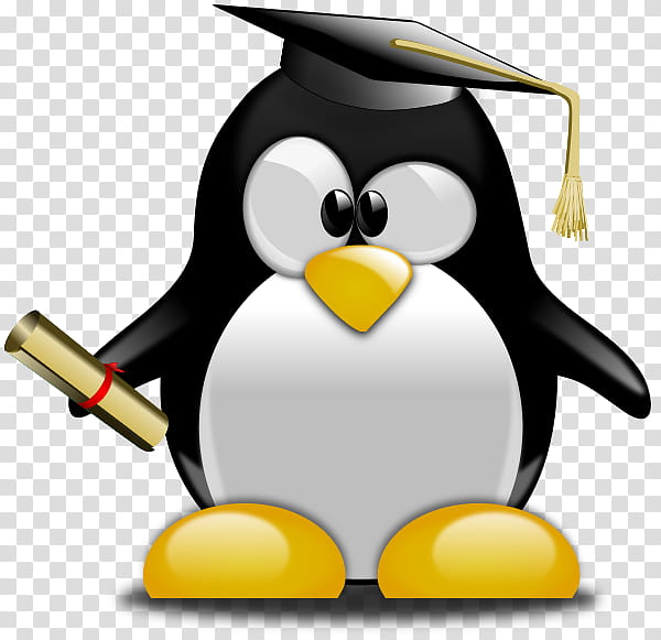 Graduation, Graduation Ceremony, Graduate University, Penguin, School
, Academic Degree, Diploma, College transparent background PNG clipart