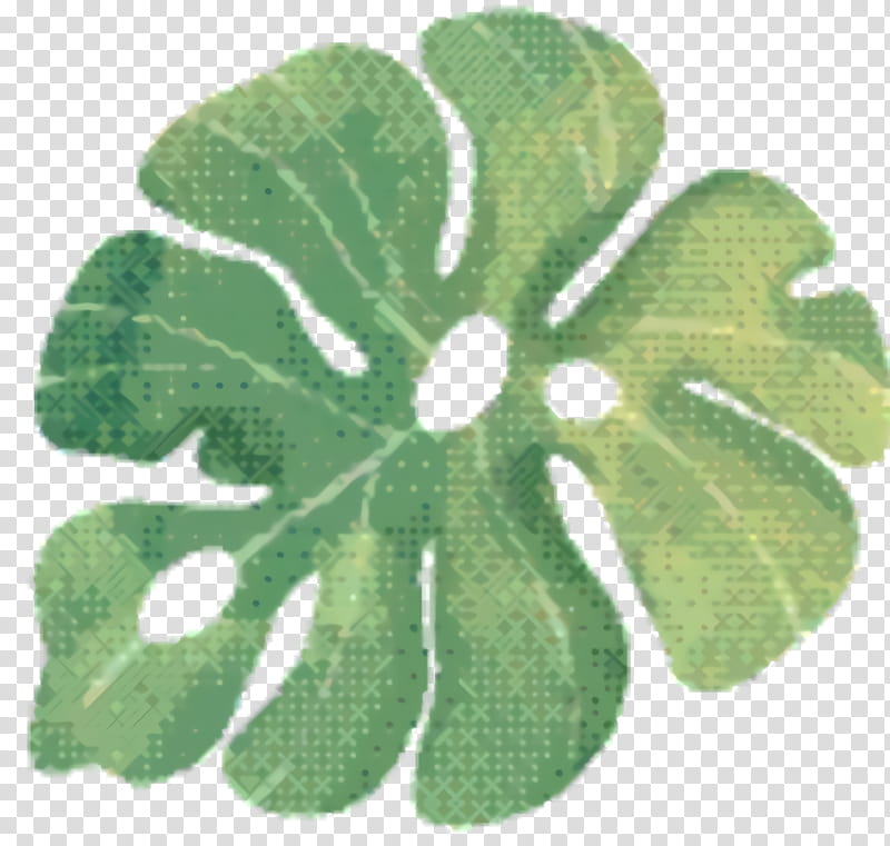Green Leaf, Plant, Flower, Petal, Symbol, Impatiens transparent background PNG clipart