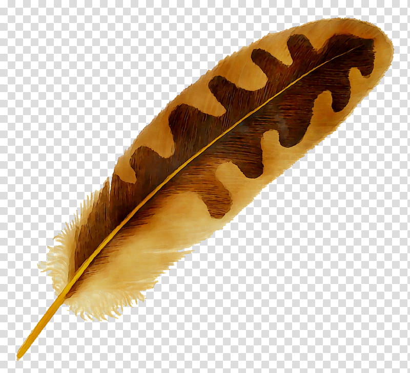 Eagle Drawing, Feather, Bird, Peafowl, Eagle Feather Law, Quill, Pen, Writing Implement transparent background PNG clipart