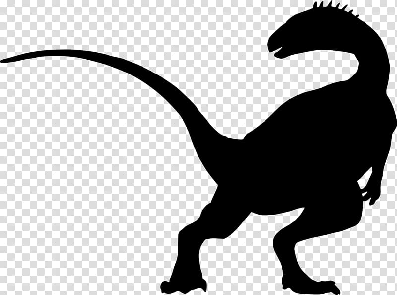 Dinosaur, Tyrannosaurus Rex, Stegosaurus, Walking With Dinosaurs, White, Head, Tail, Blackandwhite transparent background PNG clipart