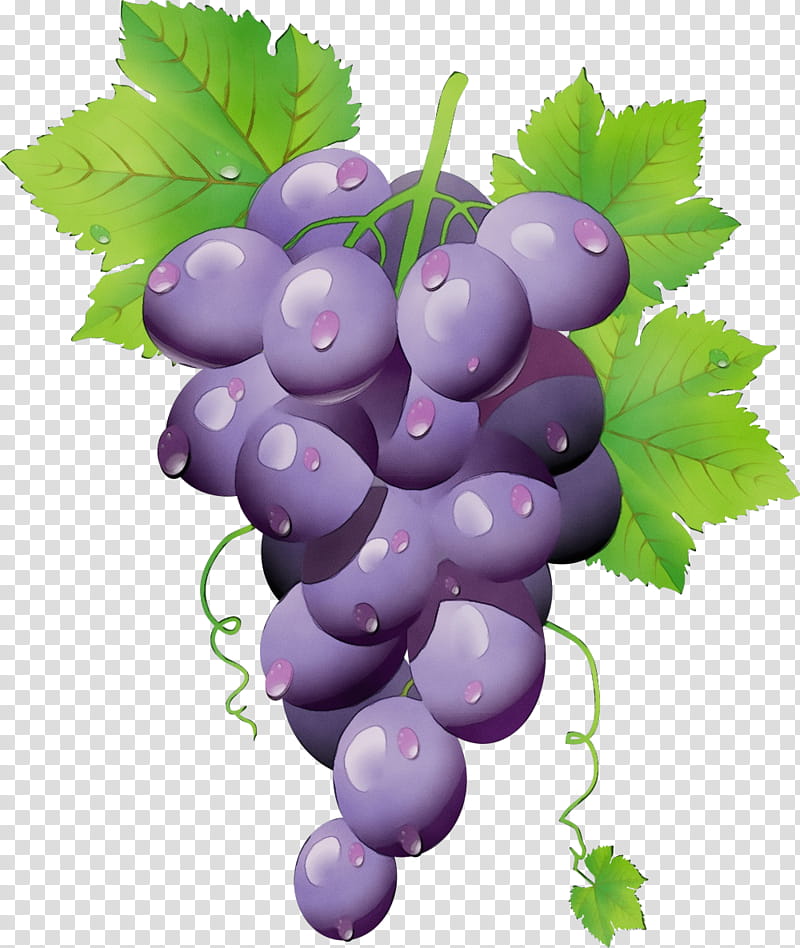 Flower Leaves, Sultana, Grape, Zante Currant, Juice, Seedless Fruit, Bilberry, Food transparent background PNG clipart
