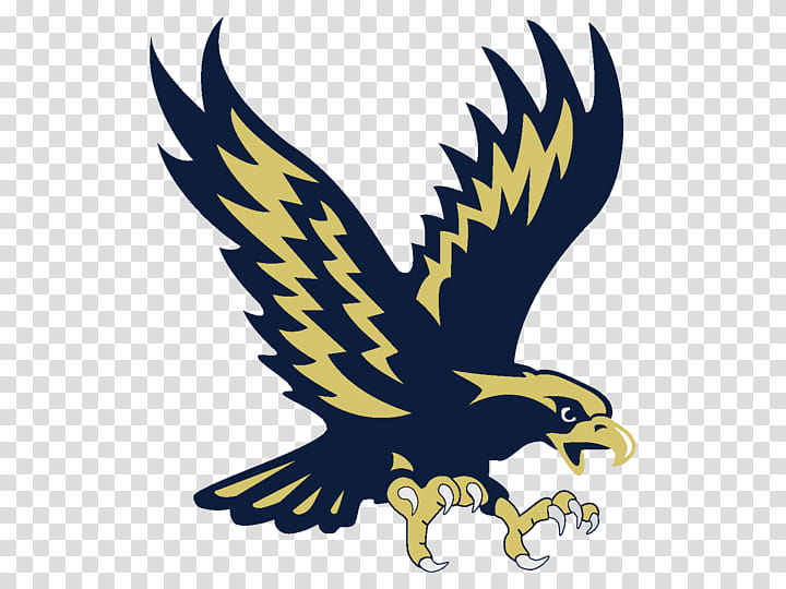 American Football, Hedgesville, Philadelphia Eagles, Musselman High School, Scorestream Inc, School
, West Virginia, Bird transparent background PNG clipart