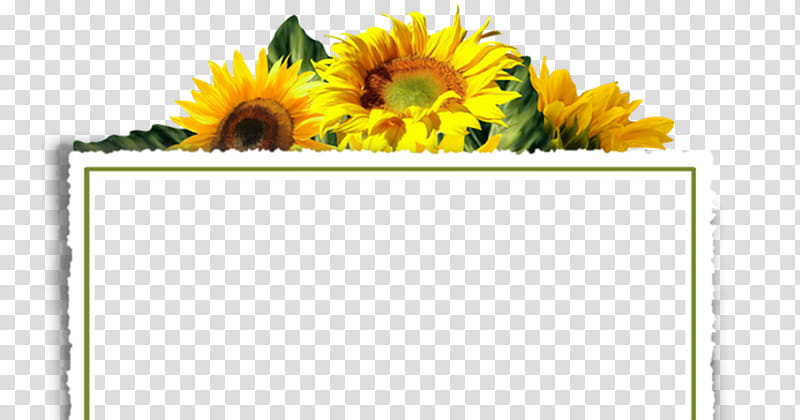 Sunflower Border, BORDERS AND FRAMES, Decorative Borders, Common Sunflower, Drawing, Decoupage, Yellow, Cut Flowers transparent background PNG clipart