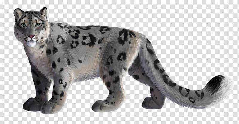 Cat Drawing, Snow Leopard, Animal, Whiskers, Web Design, Natural Environment, Animal Figure, Wildlife transparent background PNG clipart