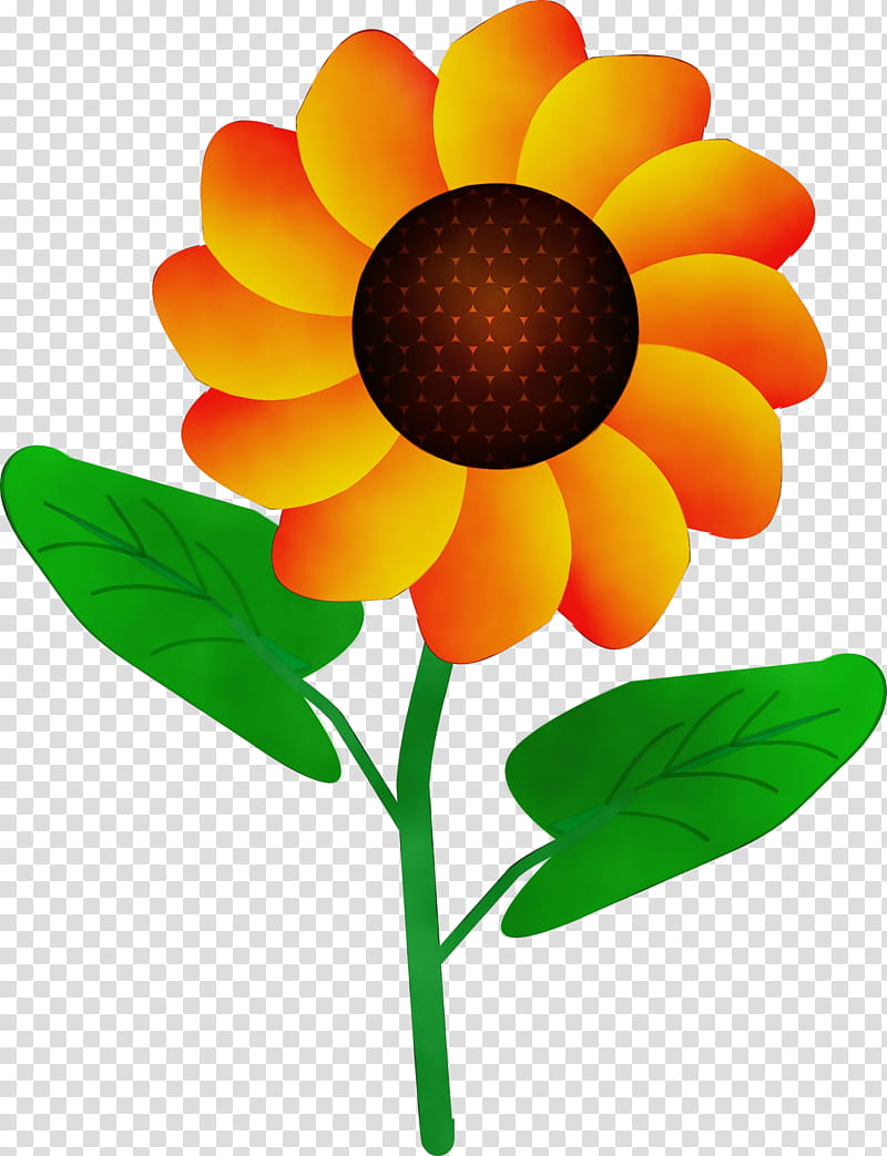 Drawing Of Family, Flower, Cartoon, Cut Flowers, Floristry, Petal, Common Sunflower, Silhouette transparent background PNG clipart