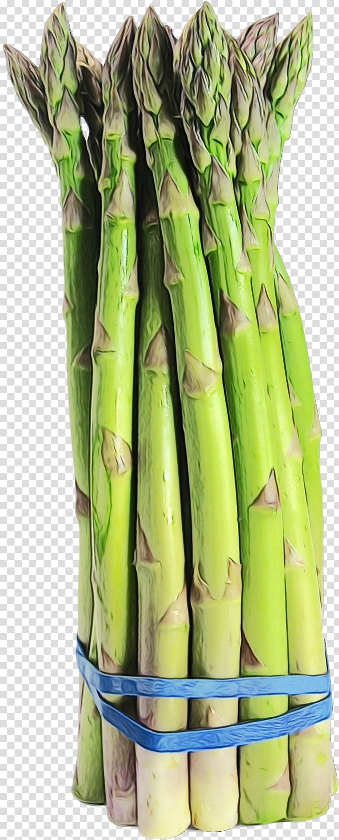 asparagus vegetable bamboo shoot plant food, Watercolor, Paint, Wet Ink, Plant Stem transparent background PNG clipart