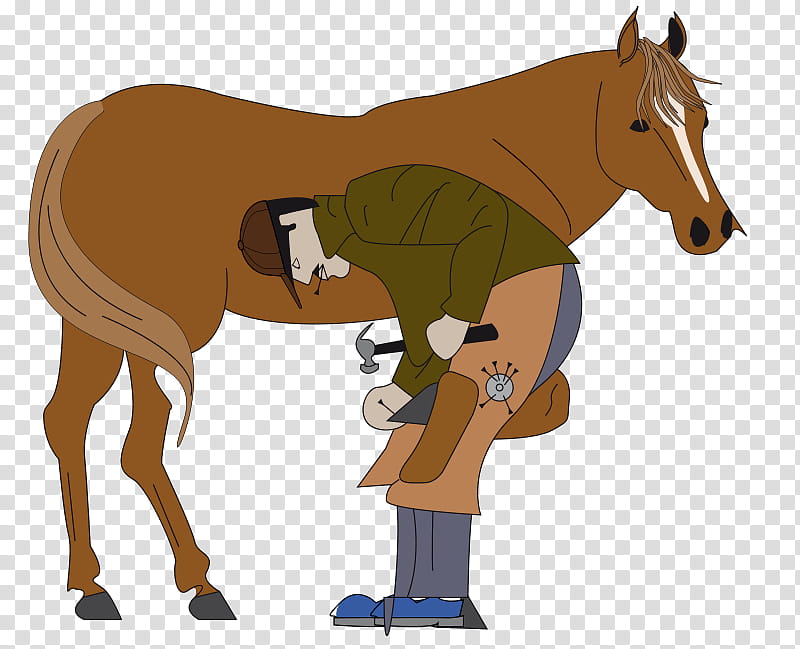 Horse, Farrier, Horseshoe, Horse Hoof, Kerckhaert, Ferrage, Hufnagel, Horse Care transparent background PNG clipart