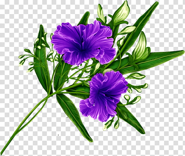 Flowers Celiuska, purple petaled flowers artwork transparent background PNG clipart
