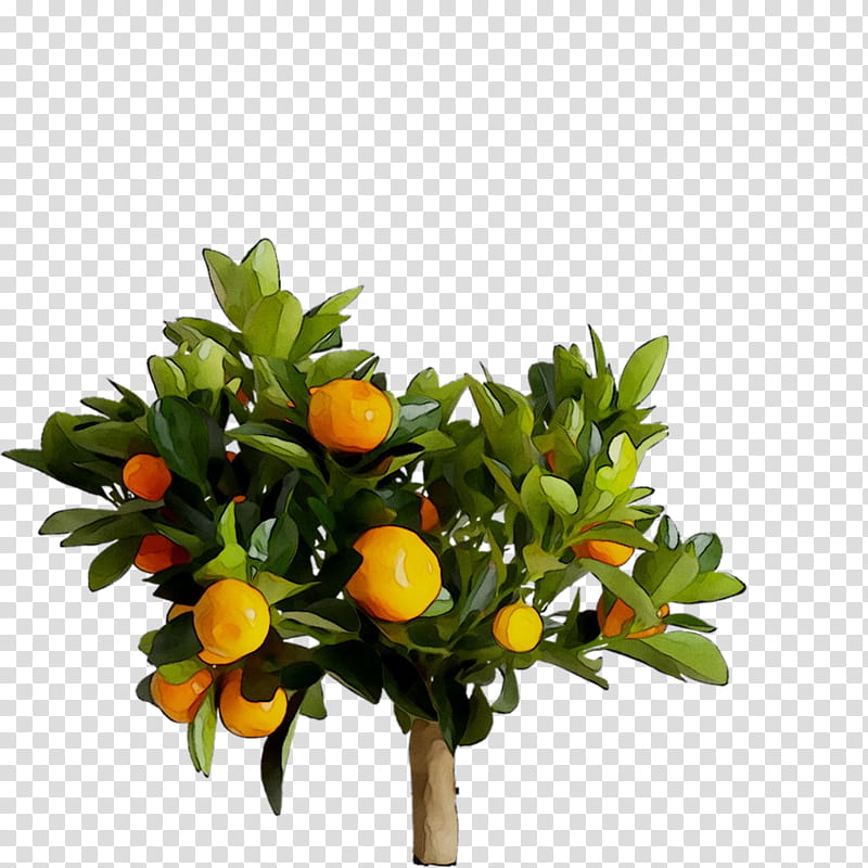 Floral Flower, Citrus, Artificial Flower, Ikea, Food, Floral Design, Vegetarian Cuisine, Flowerpot transparent background PNG clipart