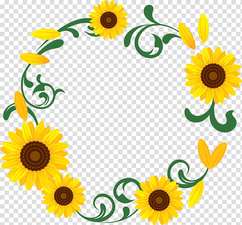 Sunflower round frame sunflower frame floral frame, Yellow, Plant, Mayweed, Daisy Family transparent background PNG clipart