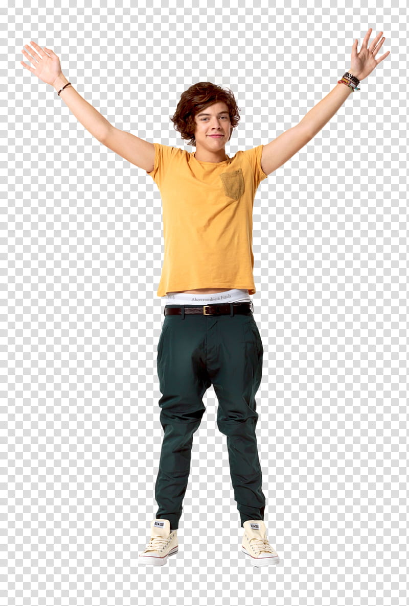 harry styles, Harry Styles from One Direction transparent background PNG clipart