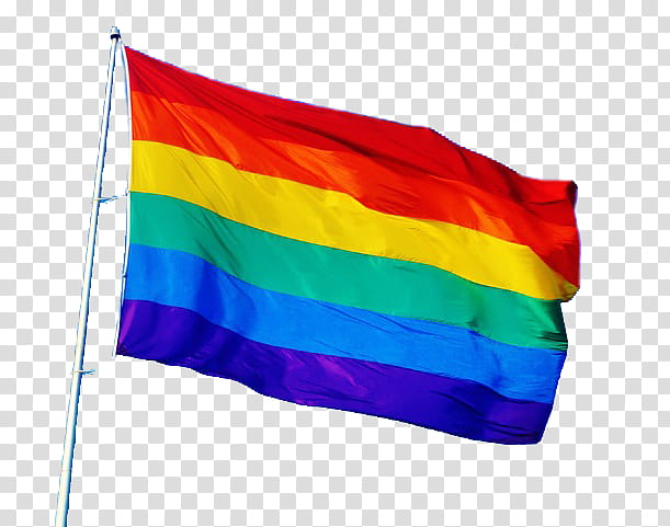 Rainbow Flag, Pride Parade, Transgender Flags, Pansexuality, Queer transparent background PNG clipart