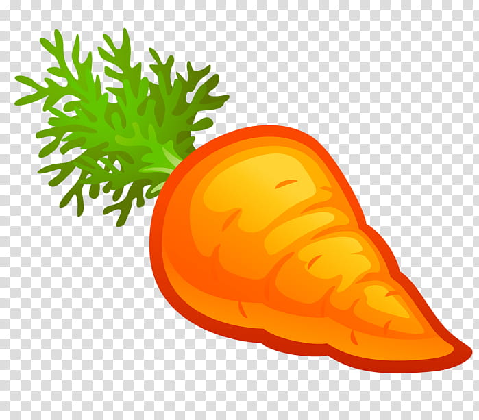Carrot, Vegetable, Drawing, Fruit, Arracacia Xanthorrhiza, Orange, Food, Vegetarian Food transparent background PNG clipart