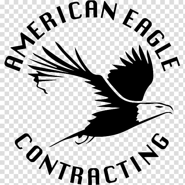 Eagle, Beak, Logo, General Contractor, American Eagle Outfitters, Fly Like An Eagle, Wordpress, White transparent background PNG clipart