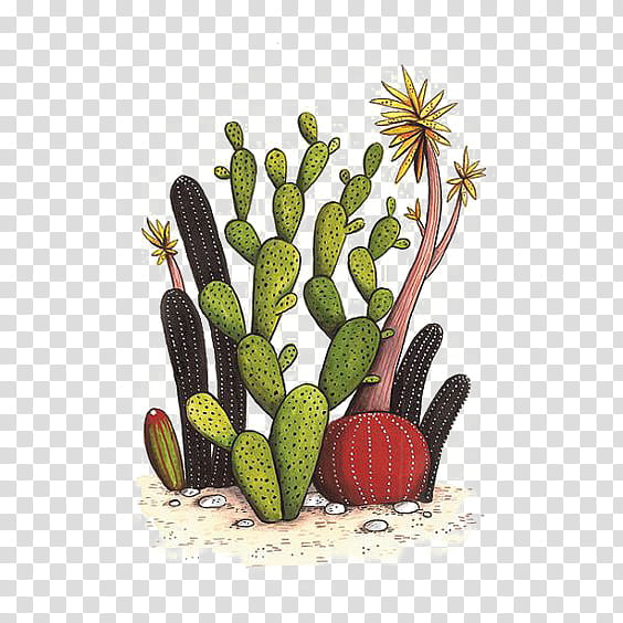 Watercolor Flower, Drawing, Watercolor Painting, Succulent Plant, Cactus, Colored Pencil, Doodle, Saguaro transparent background PNG clipart