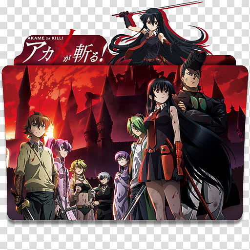Anime Icon Pack , Akame ga Kill v transparent background PNG clipart