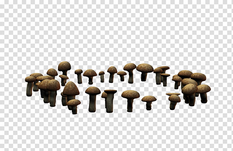 E S Mushrooms II Fairy Rings, brown mushroom lot transparent background PNG clipart