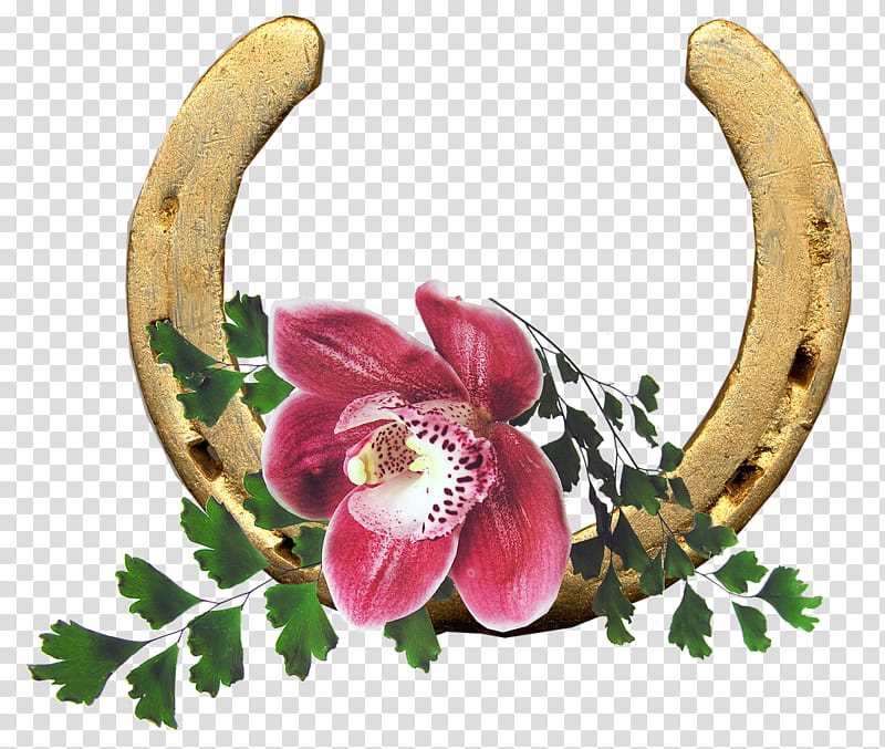 Pink Flower, Horseshoe, Luck, Happiness, Good Luck Charm, Orchids, , Amulet transparent background PNG clipart