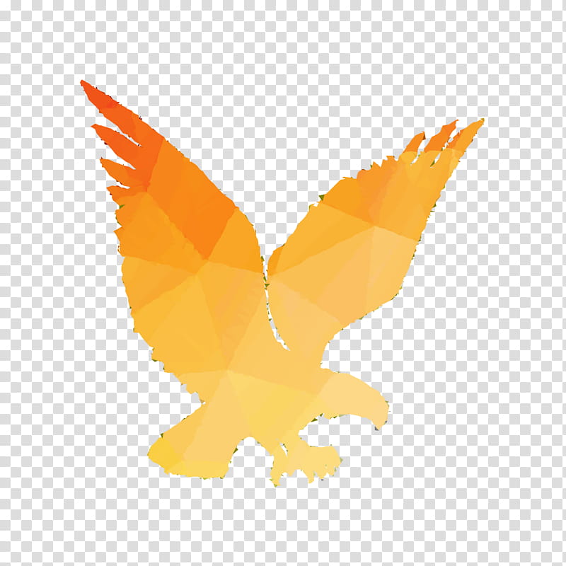 Eagle Logo, Beak, Bird, Bird Of Prey, Orange Sa, Pollinator, Wing, Yellow transparent background PNG clipart