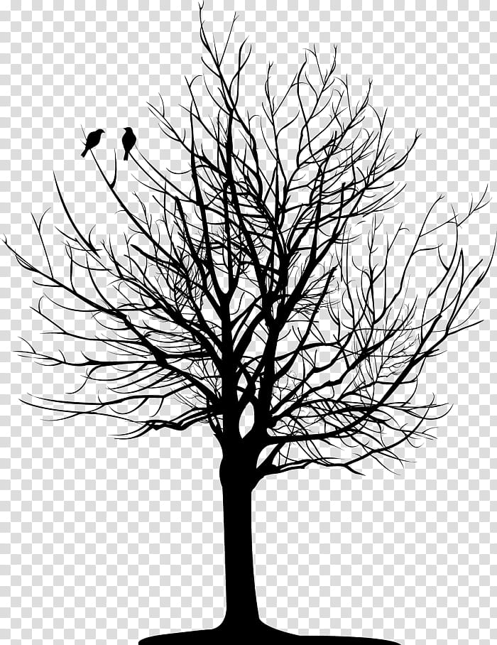 Pine Tree Silhouette, Tattoo, Drawing, Bird, Branch, Body Art, Body Piercing, Sleeve Tattoo transparent background PNG clipart
