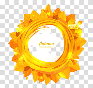 Orange, Yellow transparent background PNG clipart thumbnail