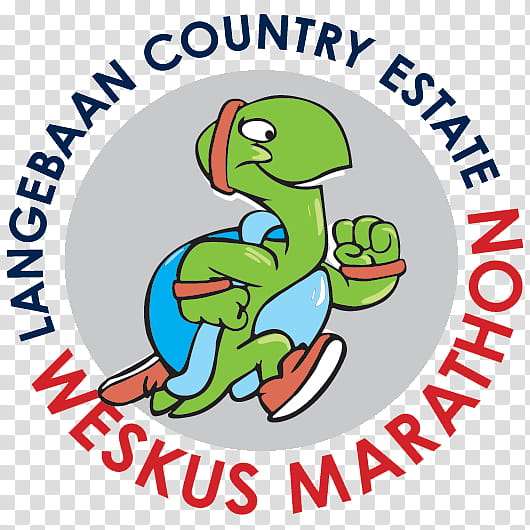 Twitter Logo, Marathon, Beak, Cartoon, Behavior, West Coast District Municipality, Turtle, Tortoise transparent background PNG clipart