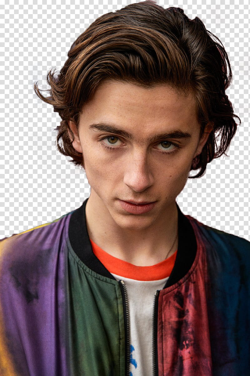 Timothee Chalamet, man wearing multicolored bomber jacket transparent background PNG clipart