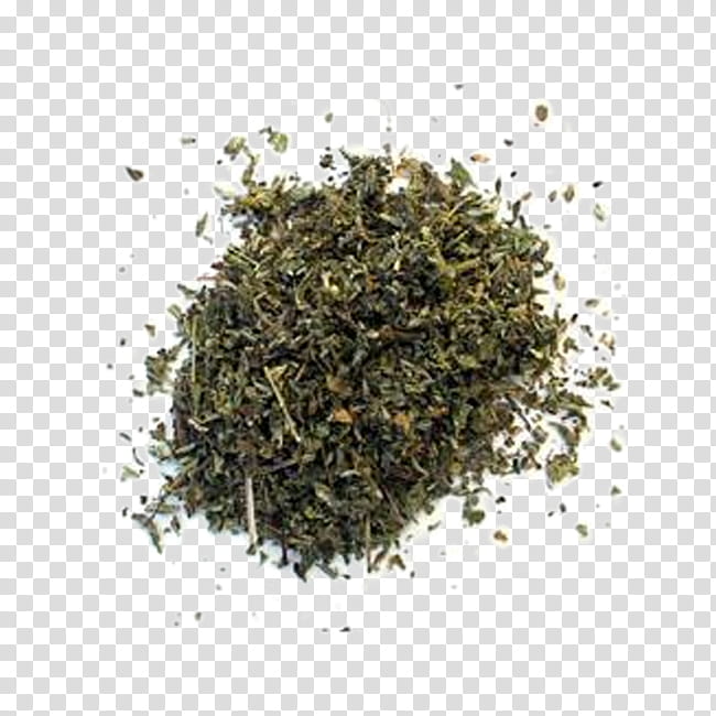 Tea Leaf, Damiana, Herb, Plants, Aphrodisiac, Khat, Medicinal Plants, Herbal Tea transparent background PNG clipart