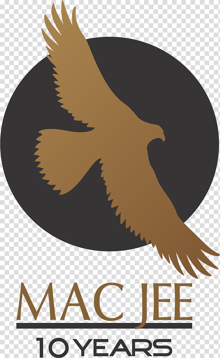 Eagle Logo, Beak, Golden Eagle, Peregrine Falcon, Bird, Kite, Wing, Hawk transparent background PNG clipart