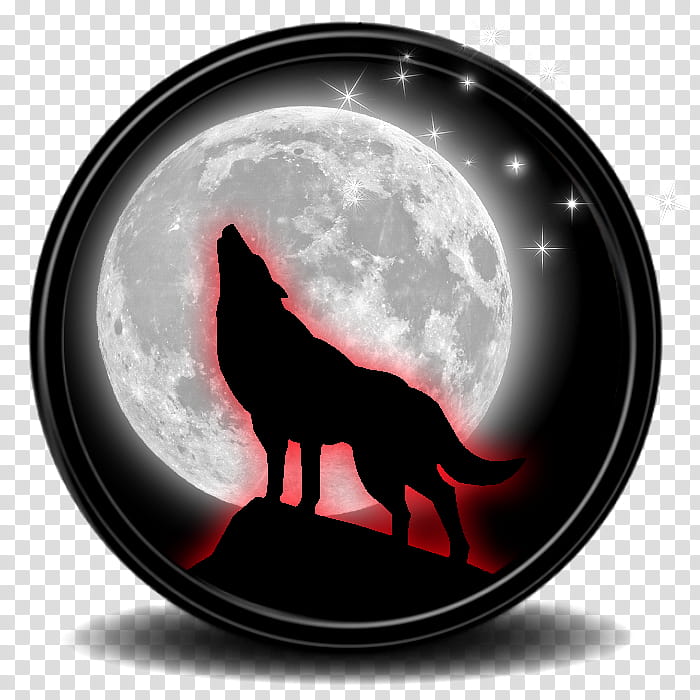 Howling Wolf transparent background PNG clipart