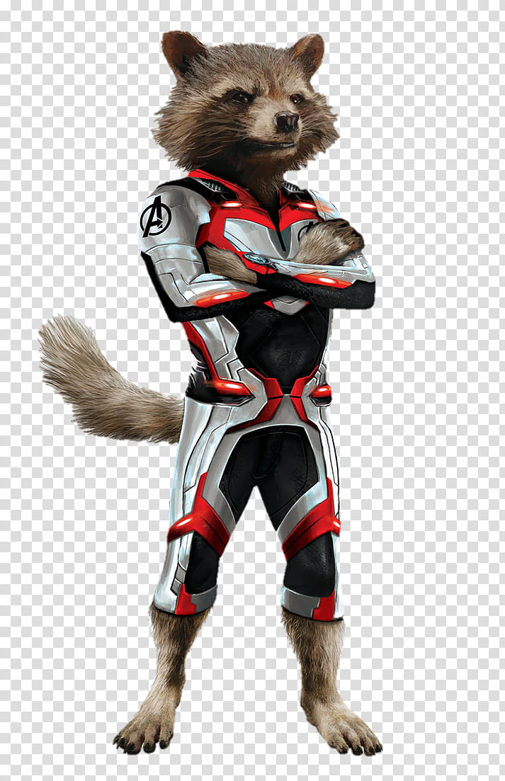 Avengers Endgame Rocket Raccoon transparent background PNG clipart